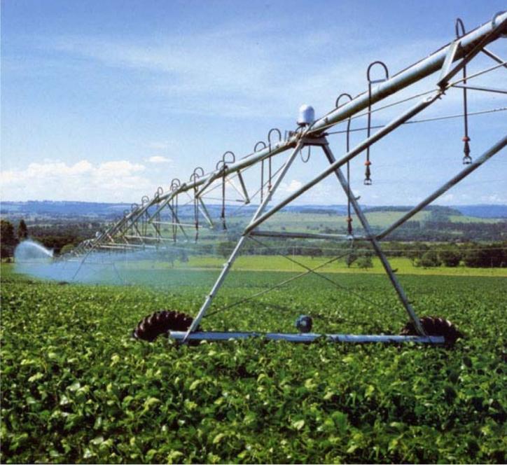 Fazenda MG São Romão MG