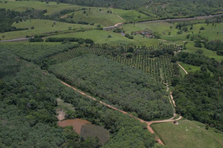 Terreno à venda, 4389m² - Foto 6