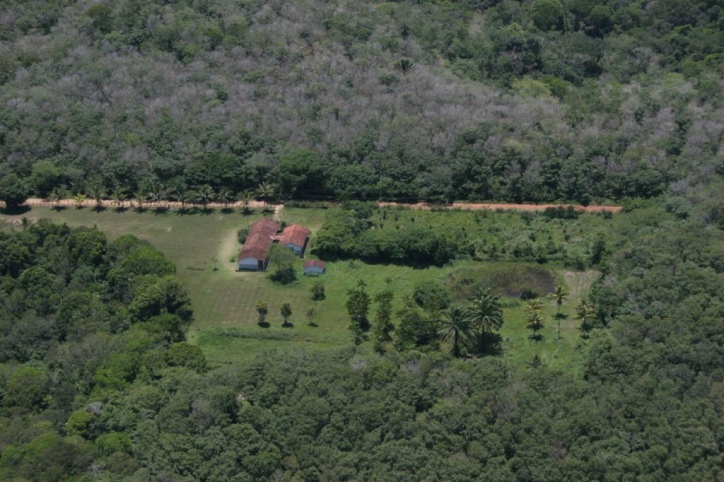 Terreno à venda, 4389m² - Foto 8