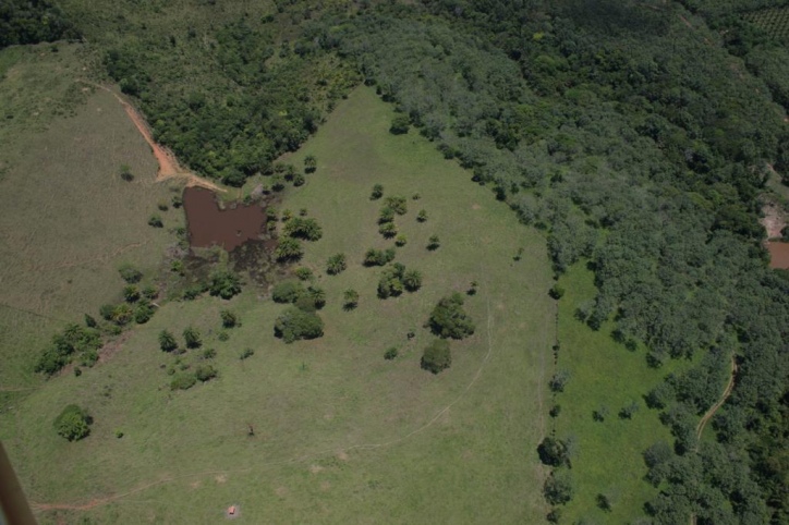 Terreno à venda, 4389m² - Foto 9