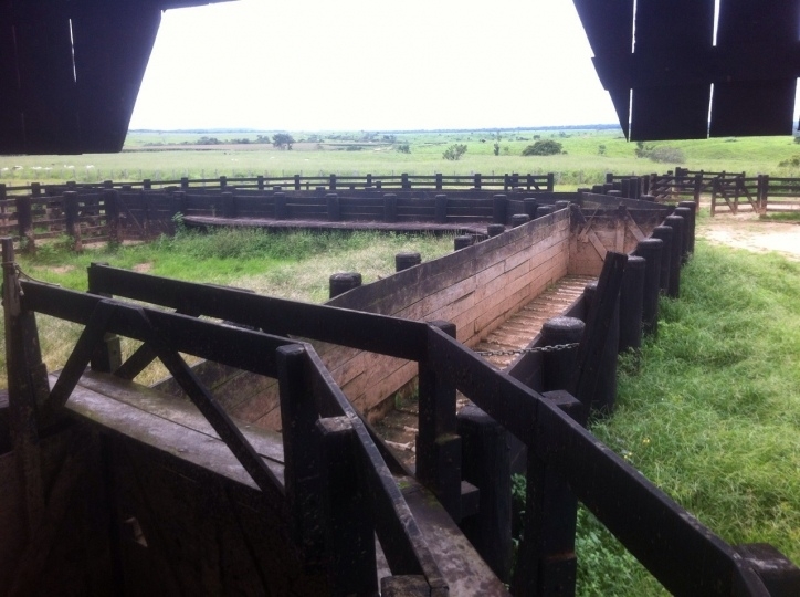 Fazenda à venda, 15700m² - Foto 6