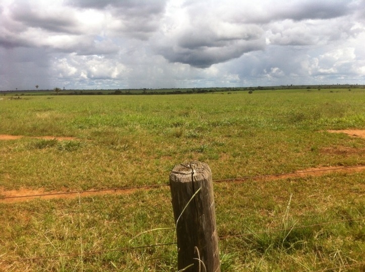 Fazenda à venda, 15700m² - Foto 7