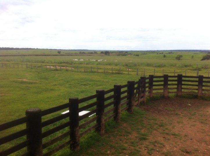 Fazenda à venda, 15700m² - Foto 9