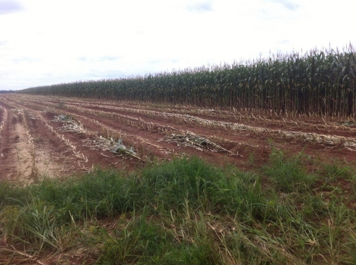 Fazenda à venda, 15700m² - Foto 10