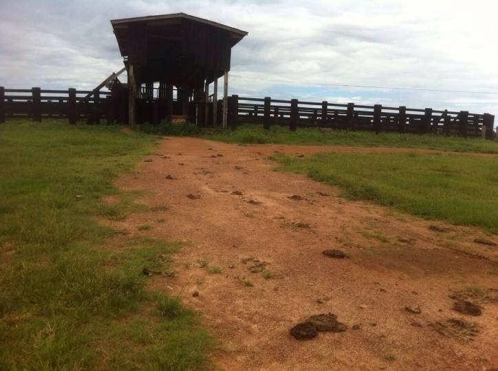 Fazenda à venda, 15700m² - Foto 11