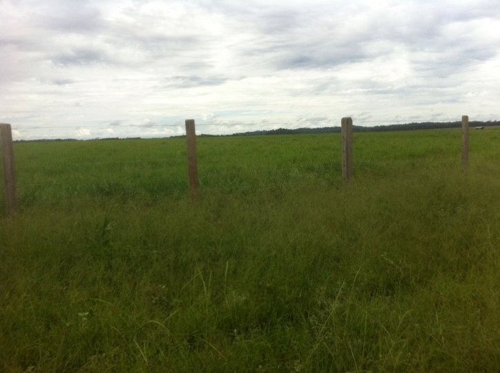 Fazenda à venda, 15700m² - Foto 12