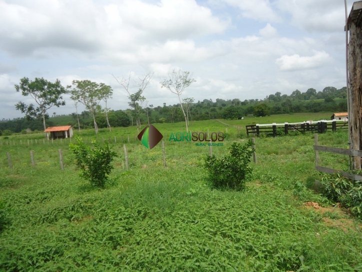 Fazenda à venda, 8800m² - Foto 9