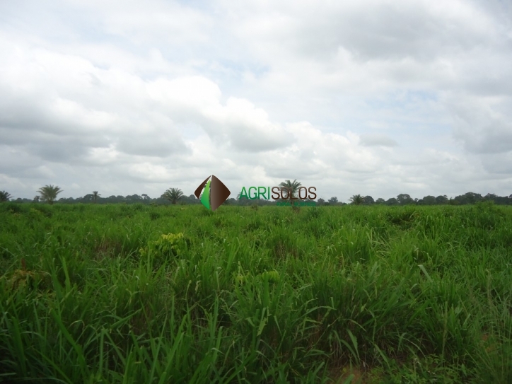 Fazenda à venda, 8800m² - Foto 19