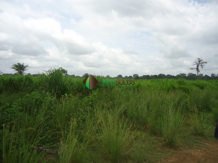 Fazenda à venda, 8800m² - Foto 20