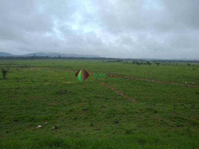 Terreno à venda, 17000m² - Foto 5