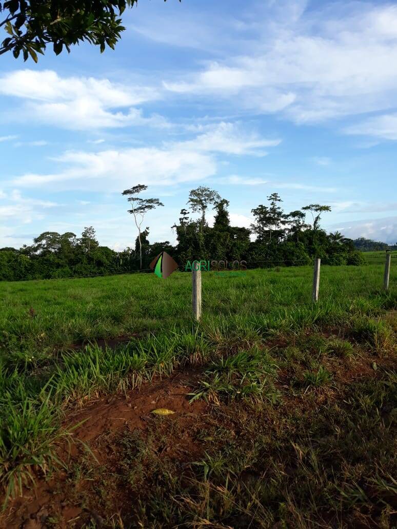 Terreno à venda, 4200m² - Foto 4