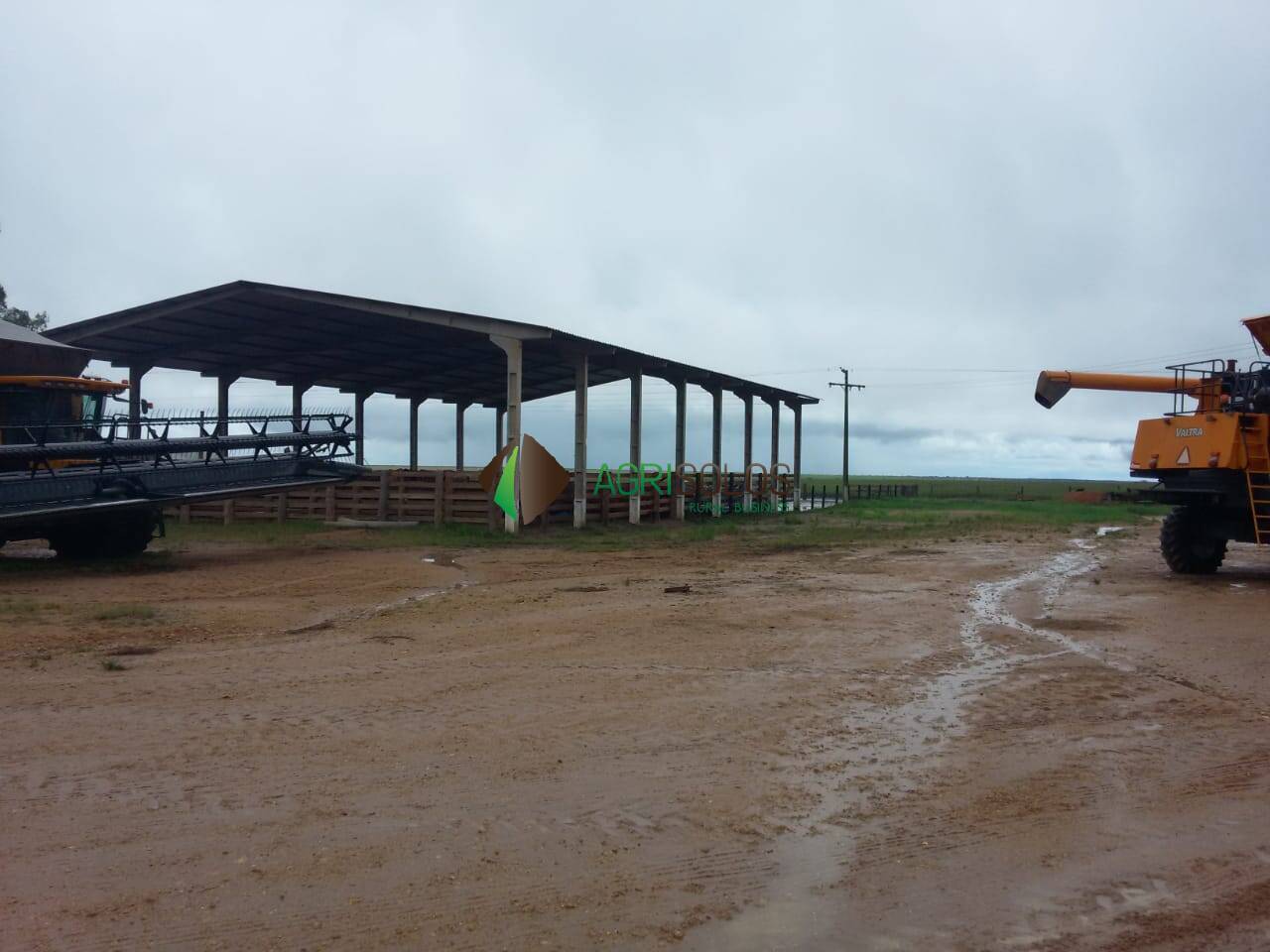 Terreno à venda, 10000m² - Foto 6