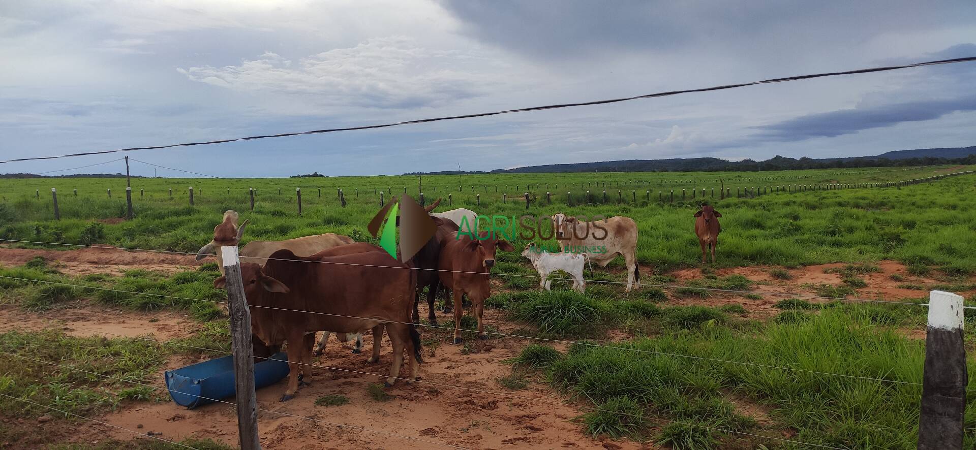 Fazenda à venda, 5000m² - Foto 2