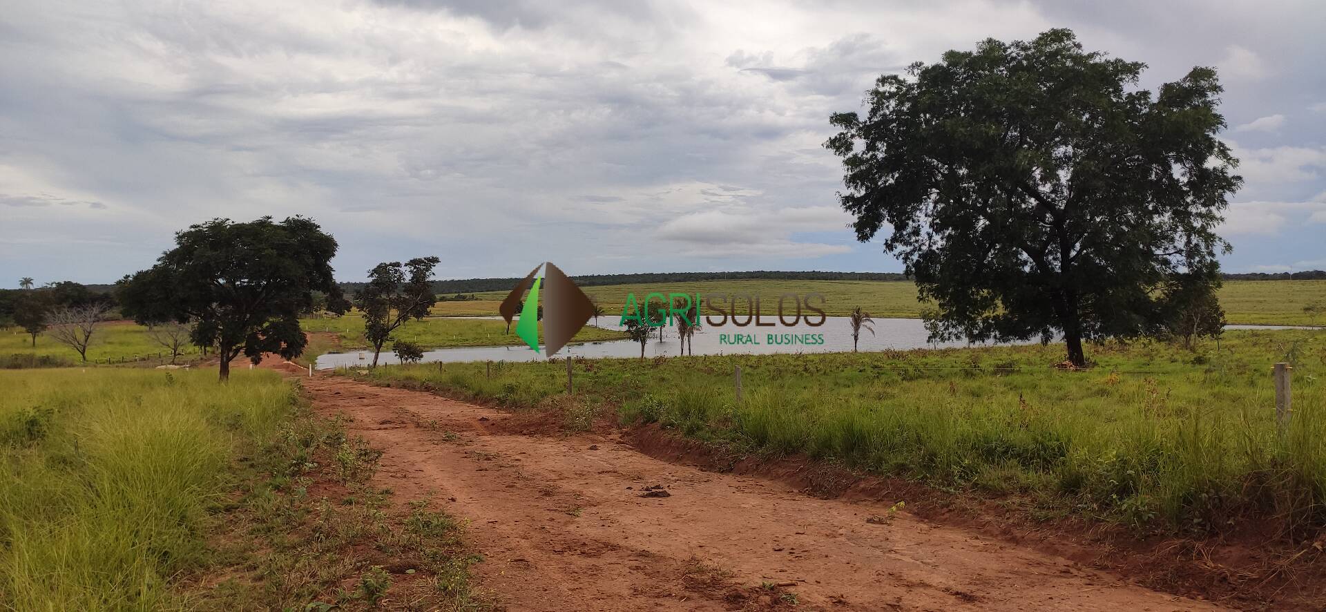 Fazenda à venda, 40000m² - Foto 10