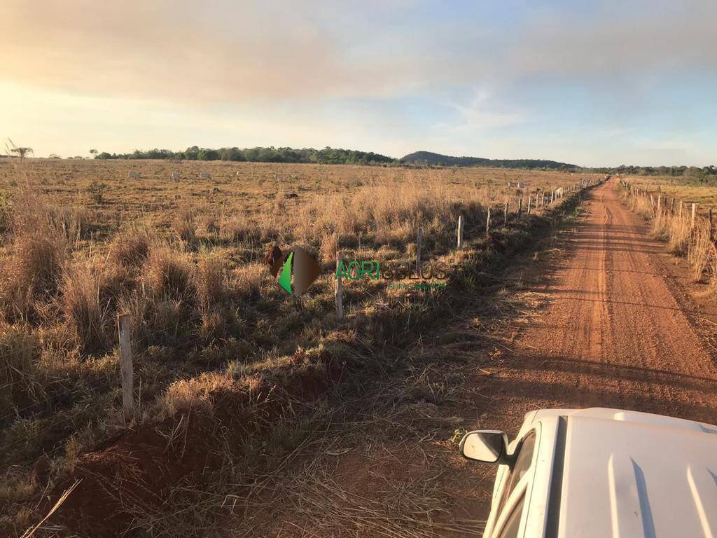 Fazenda-Sítio-Chácara, 5000 m² - Foto 4