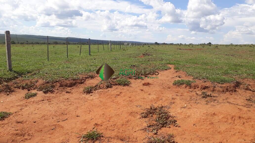 Terreno à venda, 31000m² - Foto 7