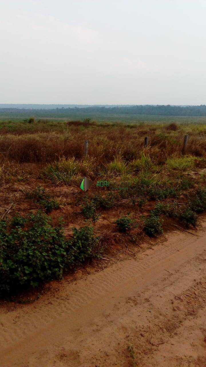 Terreno à venda, 19000m² - Foto 14