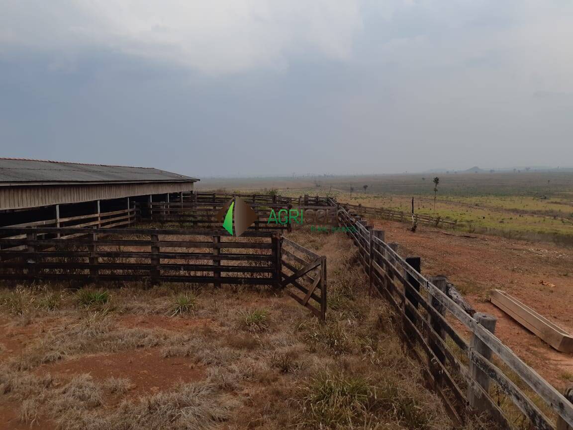 Terreno à venda, 19000m² - Foto 19