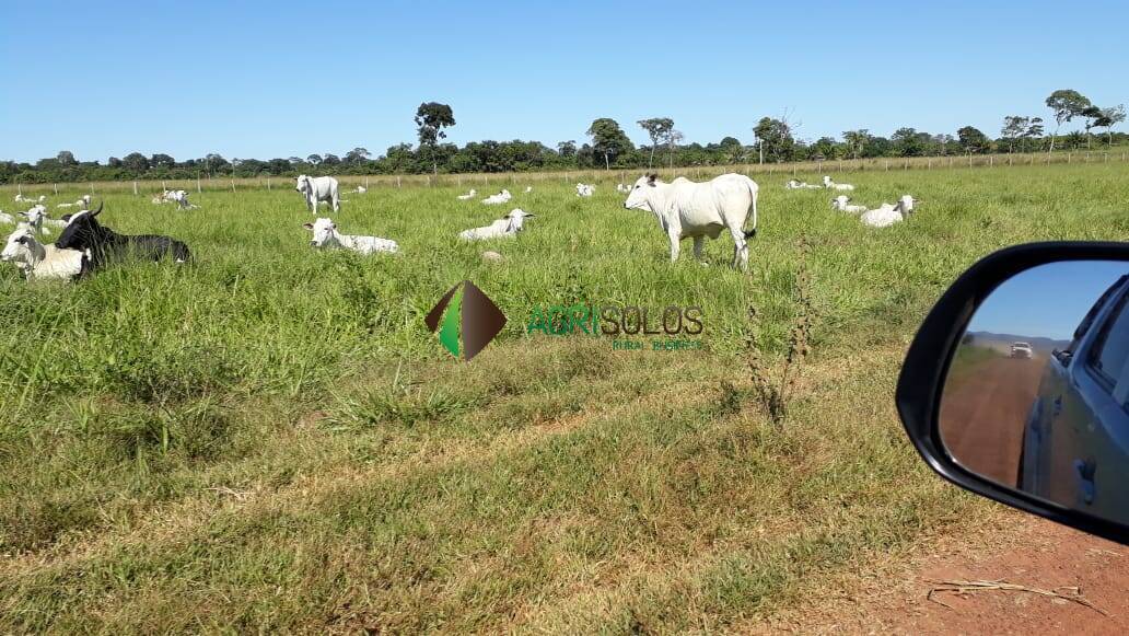 Fazenda à venda, 13700m² - Foto 5