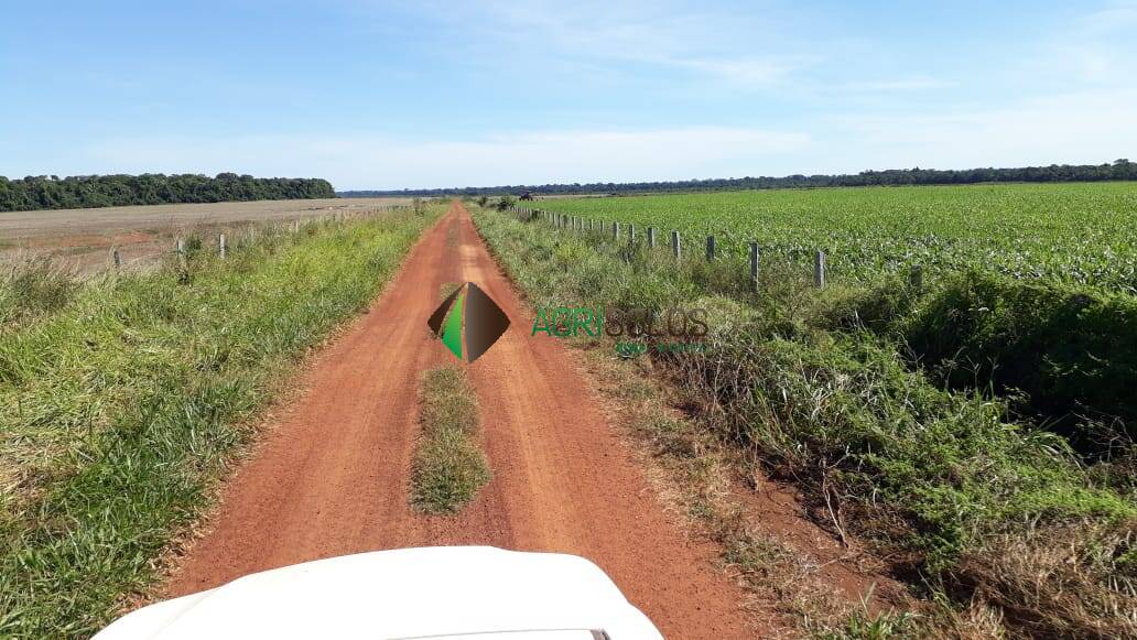 Fazenda à venda, 13700m² - Foto 6