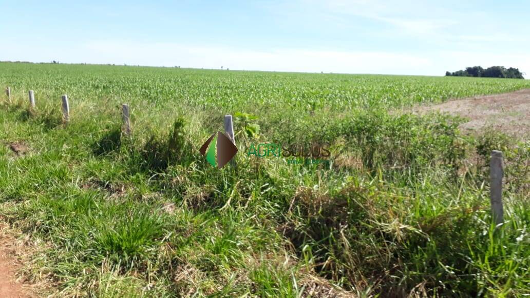 Fazenda à venda, 13700m² - Foto 7