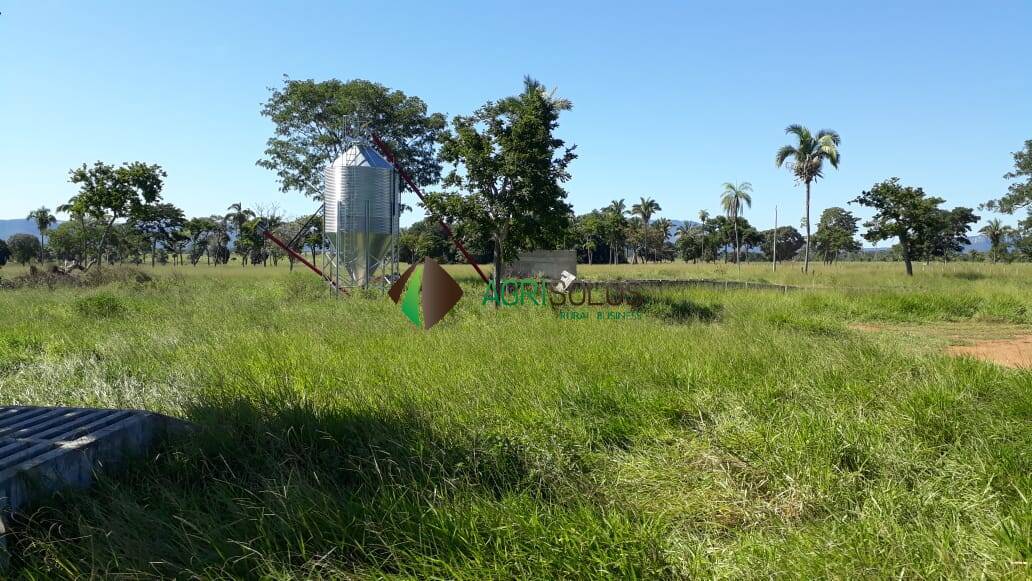 Fazenda à venda, 13700m² - Foto 13