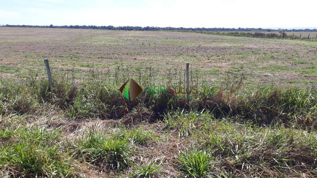 Fazenda à venda, 13700m² - Foto 11