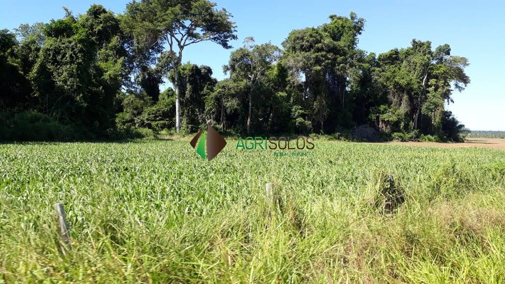 Fazenda à venda, 13700m² - Foto 16