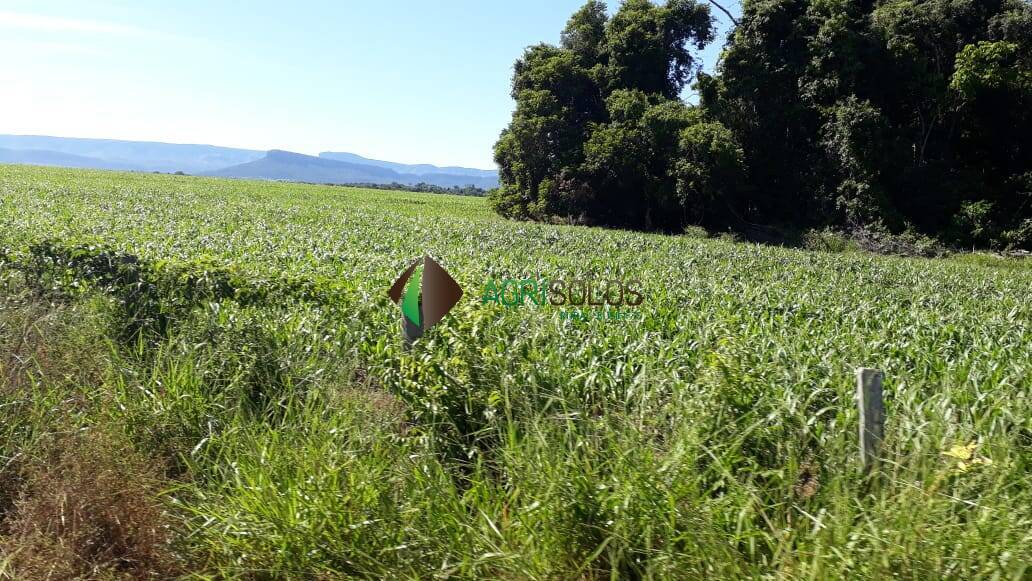 Fazenda à venda, 13700m² - Foto 23