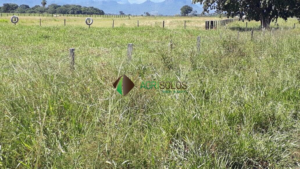 Fazenda à venda, 13700m² - Foto 26