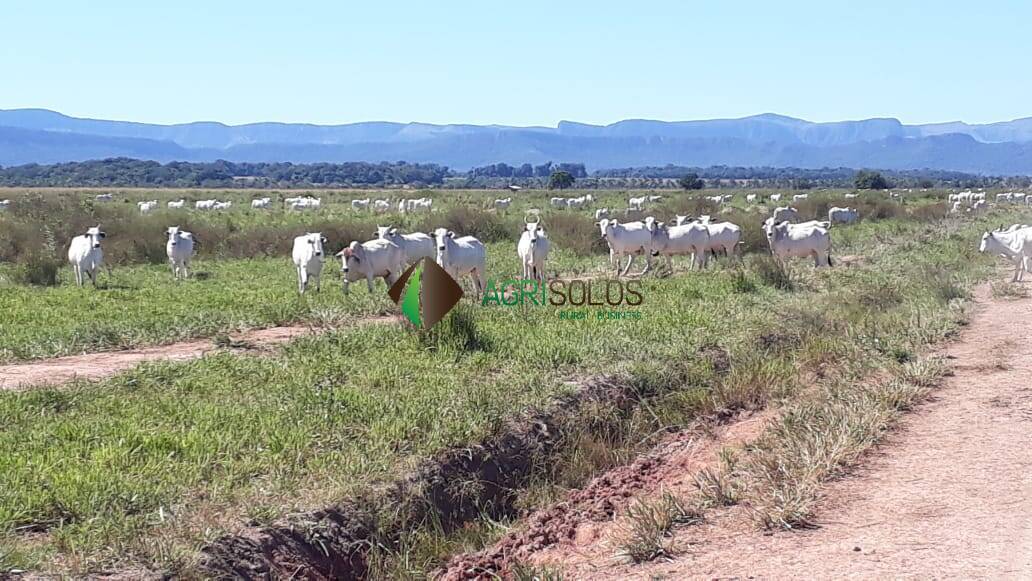 Fazenda à venda, 13700m² - Foto 30