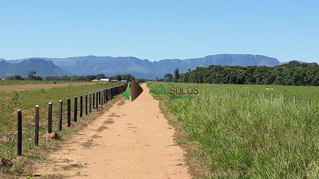 Fazenda à venda, 13700m² - Foto 29