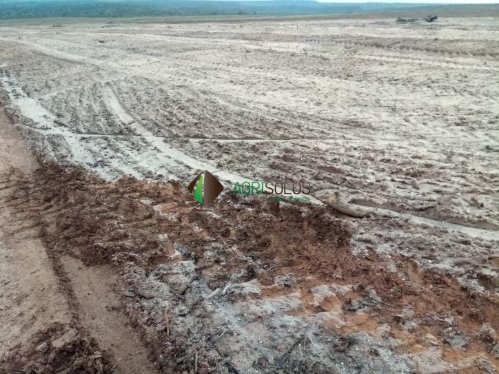 Terreno à venda, 1000m² - Foto 1