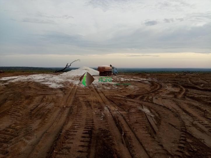 Fazenda à venda, 2100m² - Foto 6