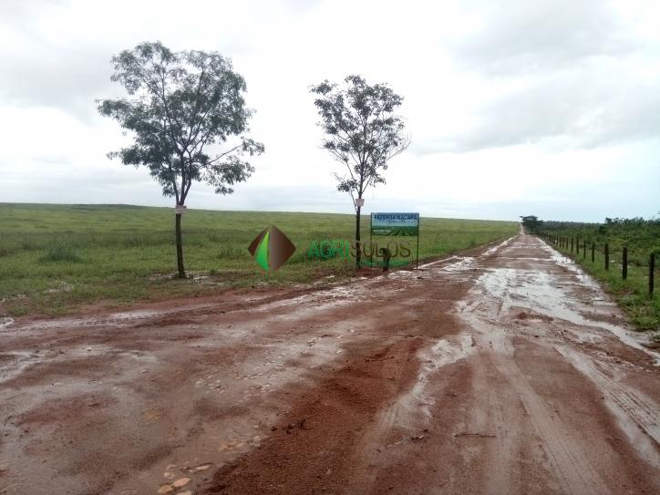 Fazenda à venda, 2100m² - Foto 1